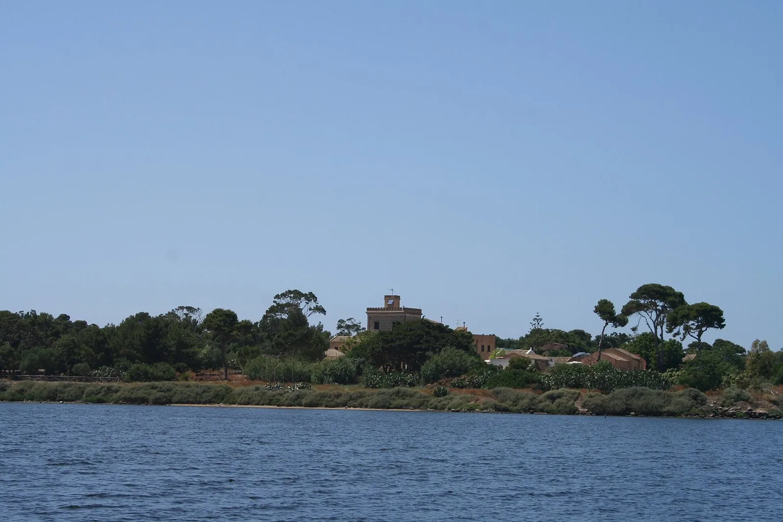 L'isola di Mozia vista dall'acqua dello Stagnone, con pini e un edificio che affiora tra la vegetazione